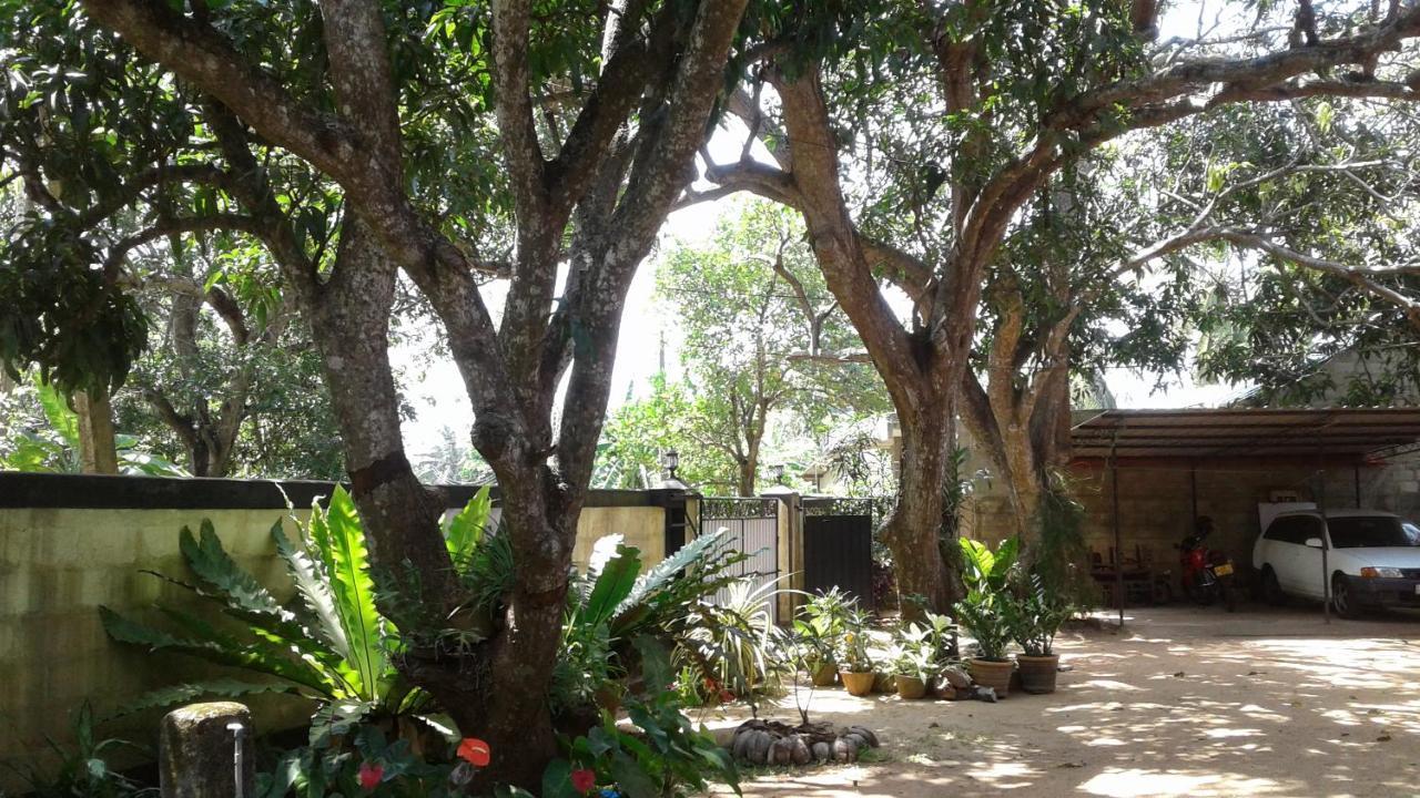 Water Front Home Stay And Resort أنرادابورام المظهر الخارجي الصورة